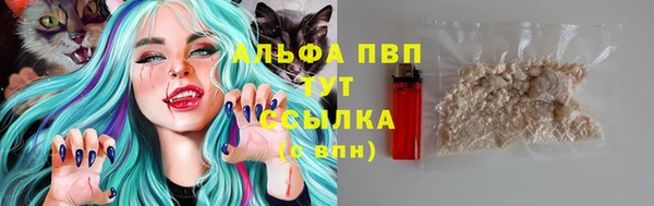 ПСИЛОЦИБИНОВЫЕ ГРИБЫ Абдулино