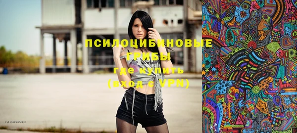 ПСИЛОЦИБИНОВЫЕ ГРИБЫ Абдулино